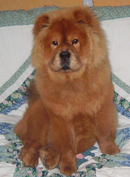 Fang-an du Yang tse Kiang